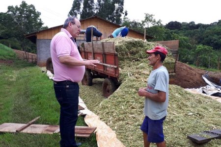 Agricultura de Gaurama é de extrema importância para o desenvolvimento econômico