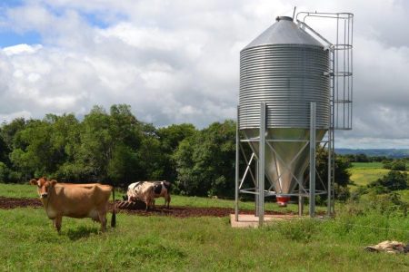 Produtores de Cruzaltense são beneficiados com programa de silagem