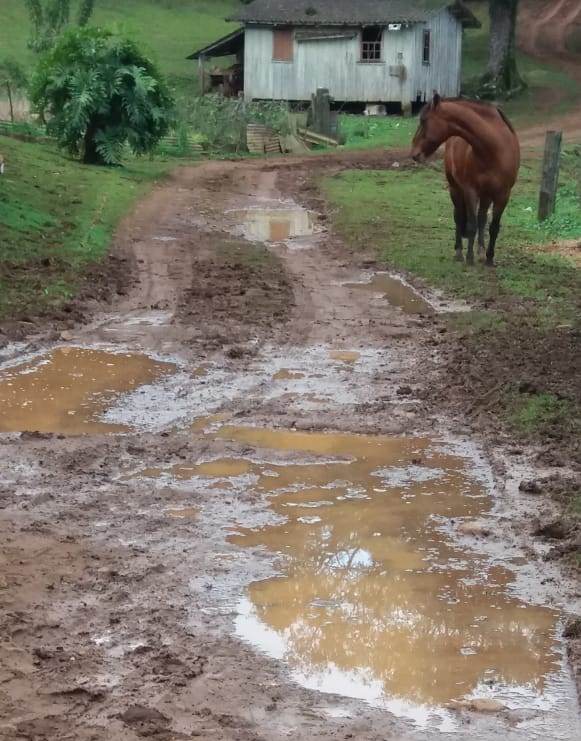 Rossi pede melhorias em acesso à propriedade rural na Transbrasiliana