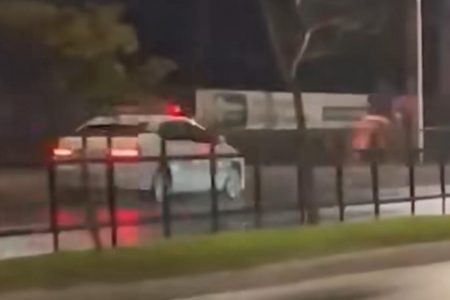 Após fuga inusitada, homem é preso e cavalo acaba morto