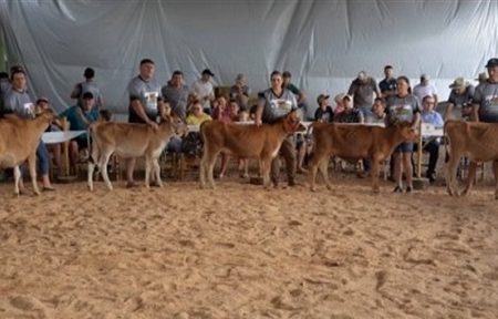 Clube da Bezerra e 15º Seminário de Bovinocultura de Leite acontecem em São Valentim no dia 13 de fevereiro